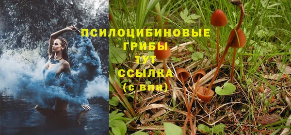 кокс Корсаков